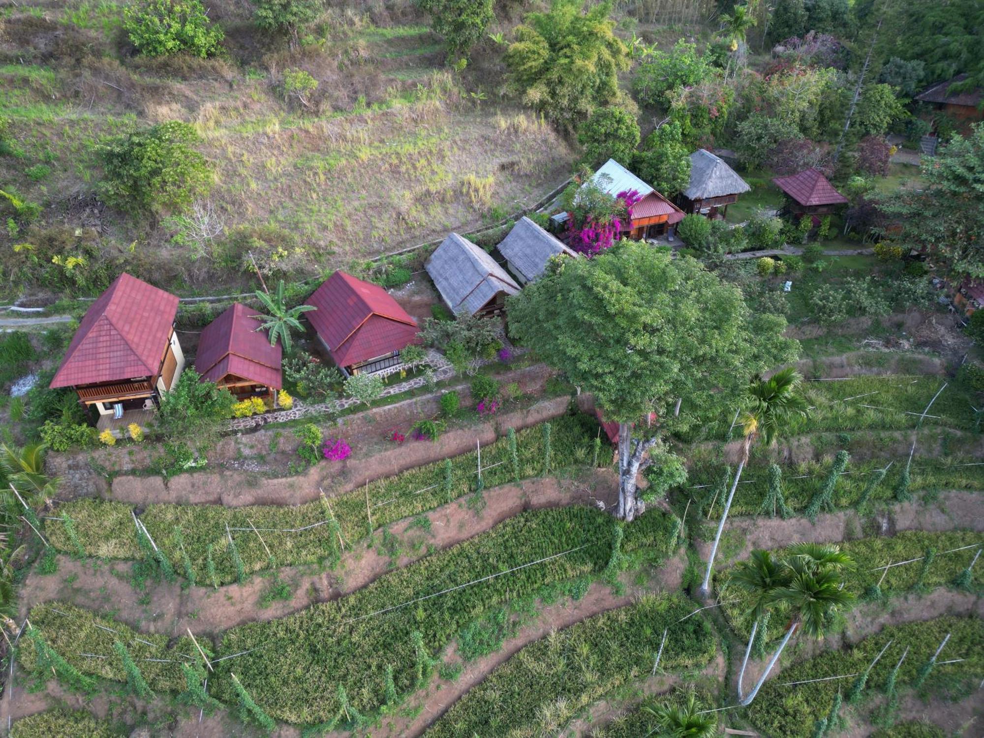Hotel Rinjani Mountain Garden à Bayan Extérieur photo