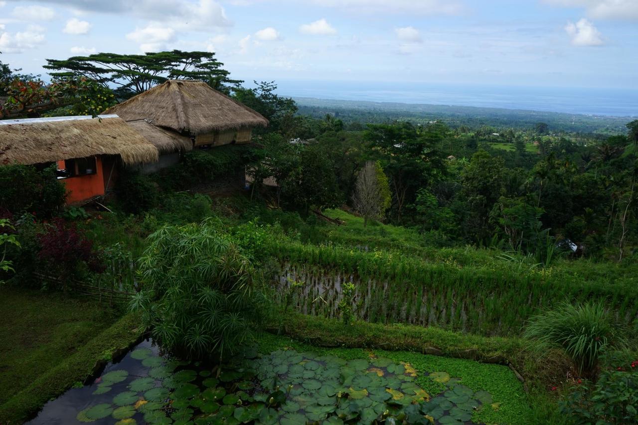 Hotel Rinjani Mountain Garden à Bayan Extérieur photo