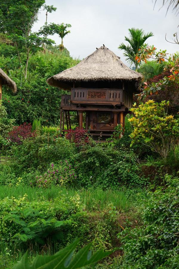 Hotel Rinjani Mountain Garden à Bayan Extérieur photo