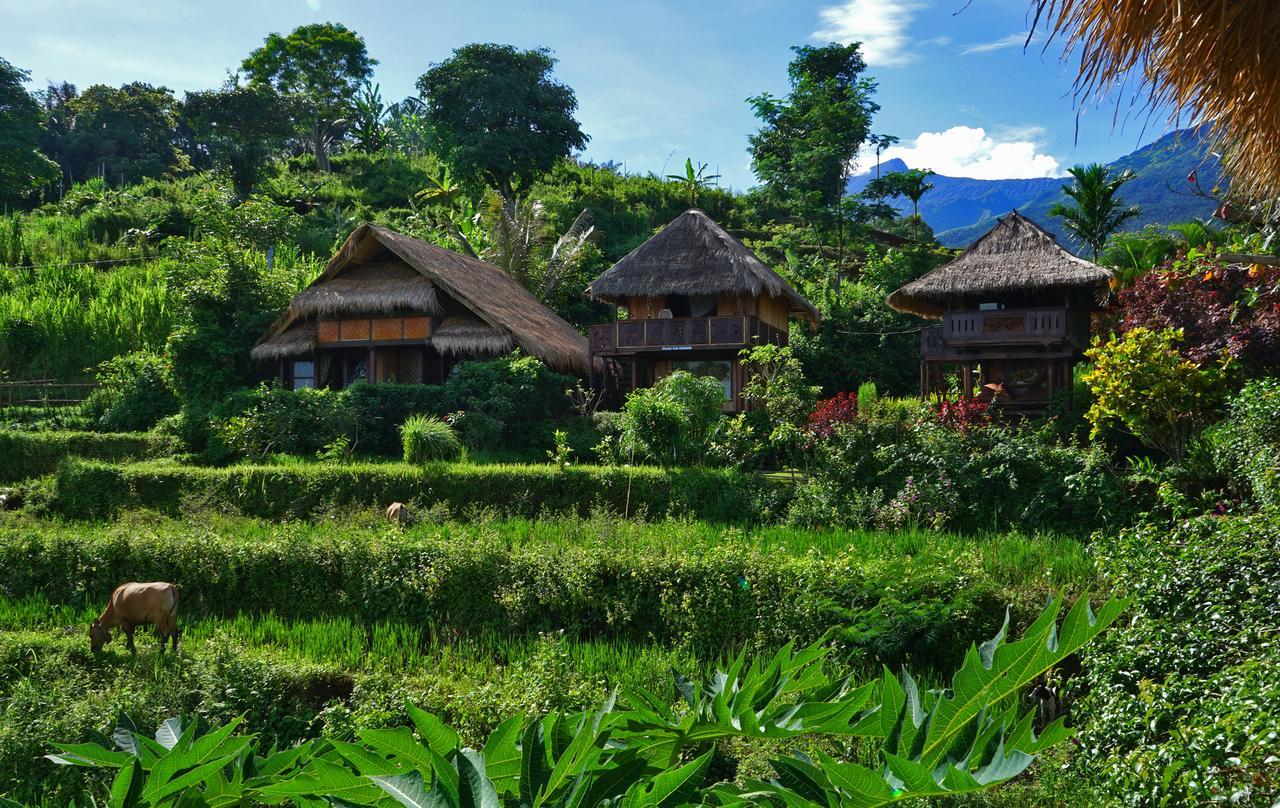 Hotel Rinjani Mountain Garden à Bayan Extérieur photo